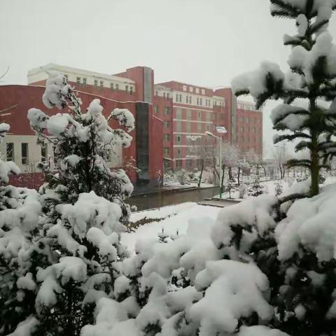 大雪压青松，青松挺且直。  要知松高洁，待到雪化时。