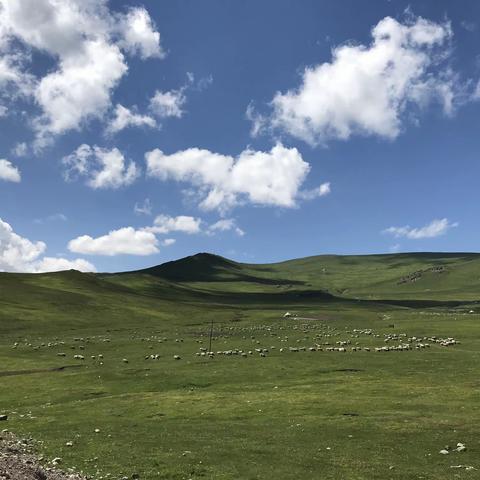 穿天山、闖獨庫，伊犁地區任我狂（四）