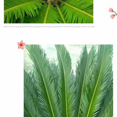 有时你需要做的就是闭嘴，然后放下所谓的自尊，承认自己的错误，这不叫放弃，这叫成长。