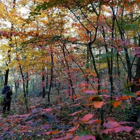 风景在路上