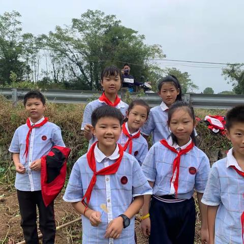 【行雅·劳动】吃瓜群众的快乐——记白鹤镇中心小学五（4）班劳动实践活动