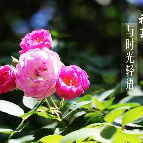 【辉煌100年  奋斗新时代】高新区凤凰小学一级部举行2021庆六一文艺汇演活动