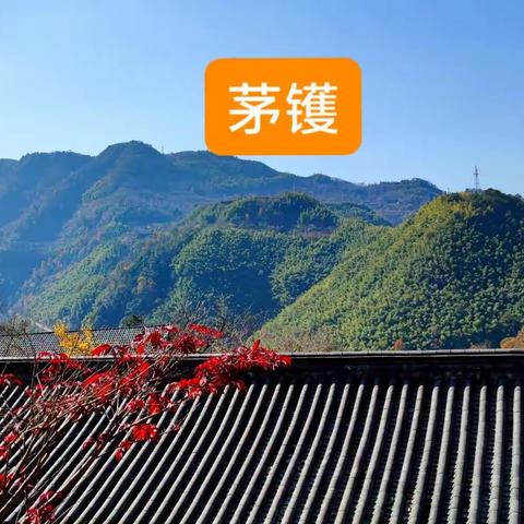 茅镬古树公园的斑斓秋韵