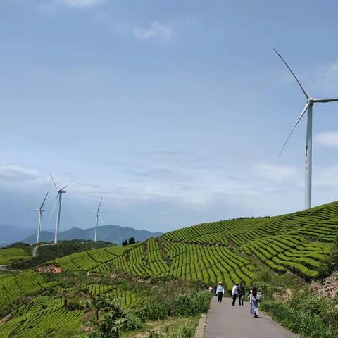 五.二来最美风车公路打卡