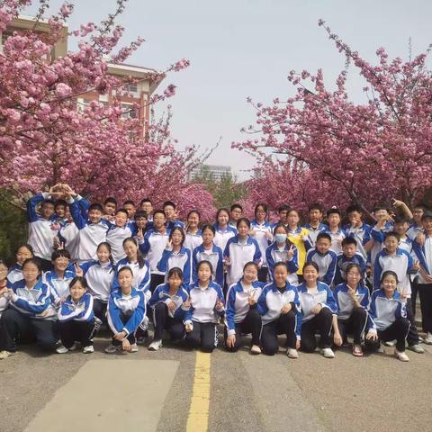 阳春四月，实验初中游园活动