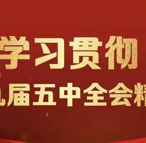 新都支行团总支学习十九届五中全会精神———【学习贯彻十九届五中全会精神，凝聚青春力量勇担时代重担】
