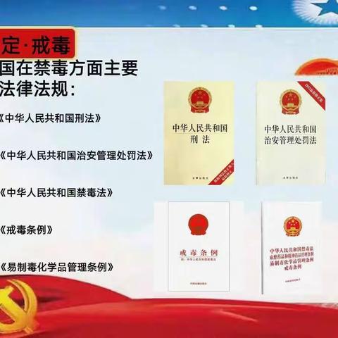 【国家宪法日】先锋街道乐凯社区“护苗成长”法律宣传进社区