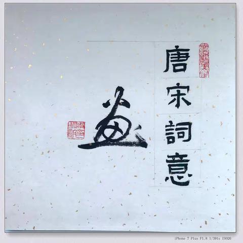 公孙百战的美篇