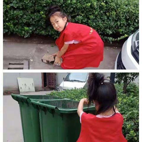 stars的美篇