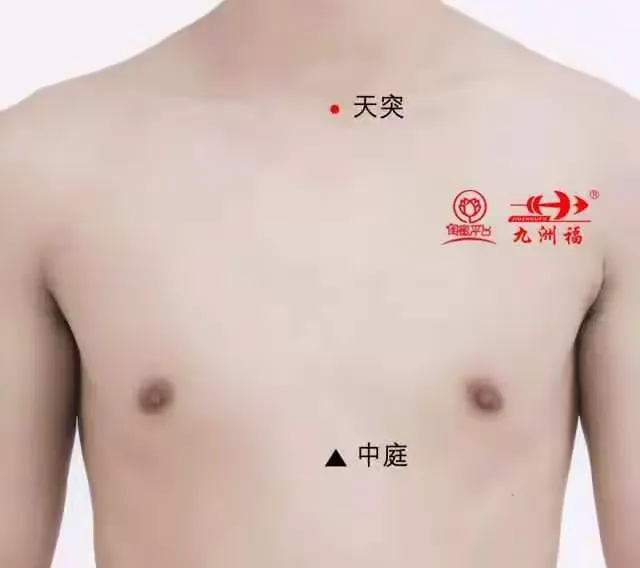 气息之要塞——天突穴