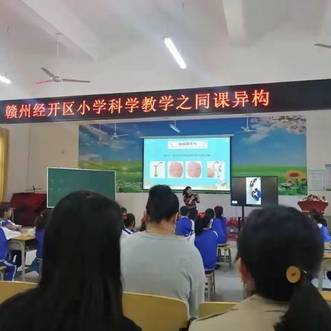 同课异构用心教，科学教育快乐学——记赣州经开区小学科学第三次教研