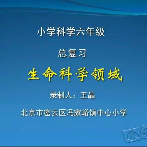 六年级科学下册第十一周在线学习 《总复习：生命科学领域》、《总复习：物质科学领域》