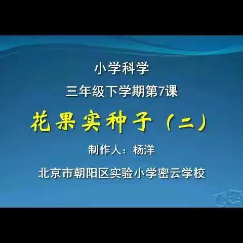 三年级科学下册第十一周在线学习《花果实种子（二）》、《凤仙花的一生》