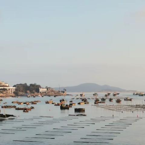 霞浦看海（2022.11.27）