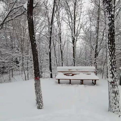 下雪天，欢乐天