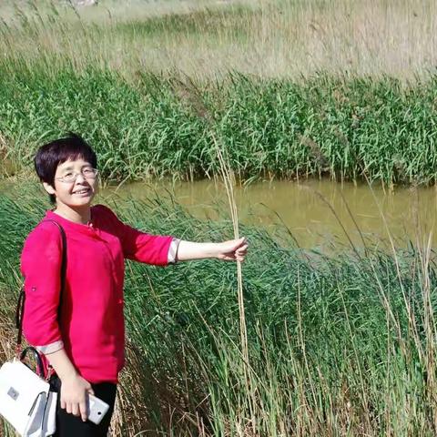 端午节踏青