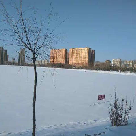 人工湖雪景