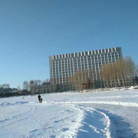 享受雪后的闲散时光