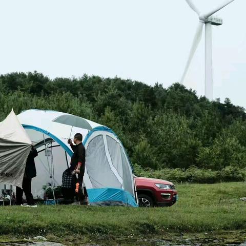 2025年7月19日寻甸露营捡菌子（之一）