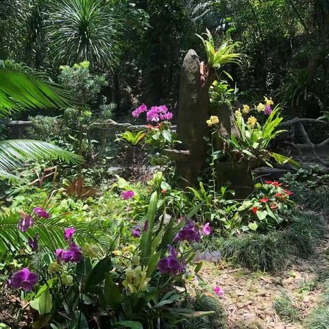 呀诺达亲子活动美篇