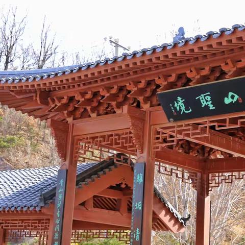 再来横山寺，故地重游，春暖花开，万象更新。