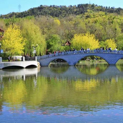 景色优美的大连植物园