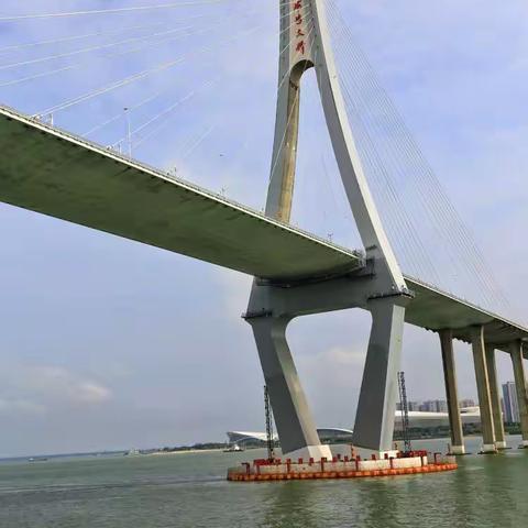 湛江壮观的十里军港