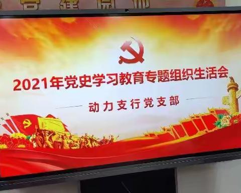 动力支行党支部召开2021年度党史学习教育专题组织生活会