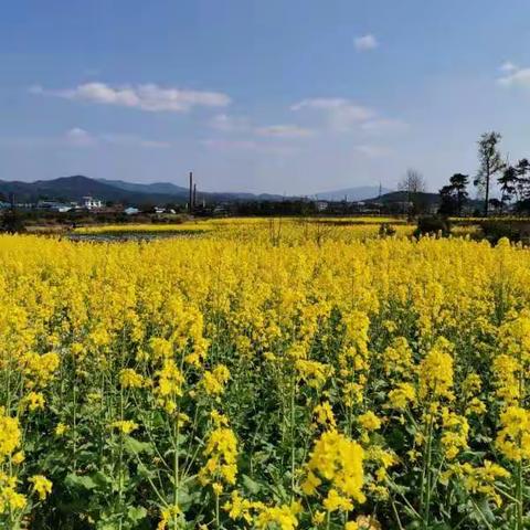 一周精彩回放<一>