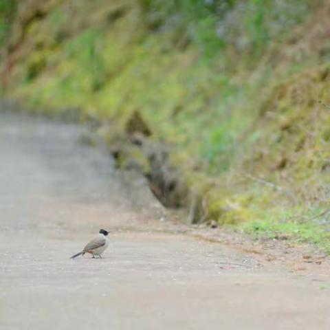 一周精彩回放<二>