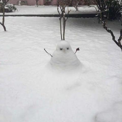 区编办冒雪清扫道路积雪