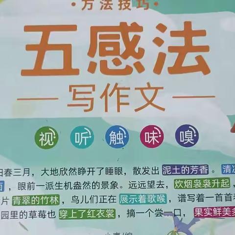 语文阅读小达人。一一海口市第二十七小学。