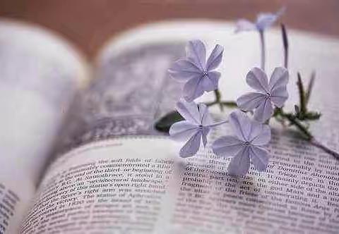 徜徉书海，迎一场风暖花香——记于都县第三小学四（1）班阅读剪影