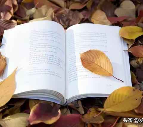 你若阅读，风雅自来———于都县城关小学一（12）班孙誉霖阅读掠影