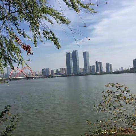 自古逢秋悲寂寥      我言秋日胜春朝