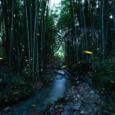 2023第56期  弥水诗韵
