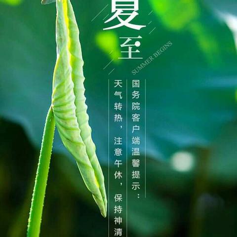 家