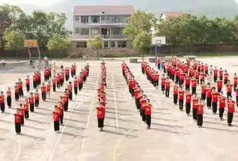 晨曦武道馆吉庆分馆学员风采👏👏