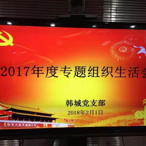 2017年专题组织生活会