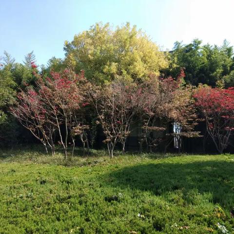 一路芳华育桃李，凝心聚力为教育——河东区2019年体育老师任职资格培训会议纪实（二）