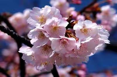 念念不忘，必有回响——我教学生涯之真正意义上的起点