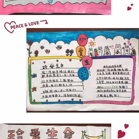 “珍爱生命，快乐成长”——记泗洪姜堰实验学校五年级手抄报展