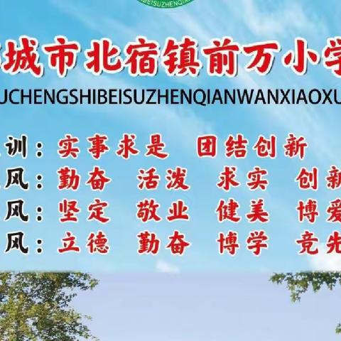 您的满意，将是我们前进的动力——北宿镇前万小学教学工作总结汇报