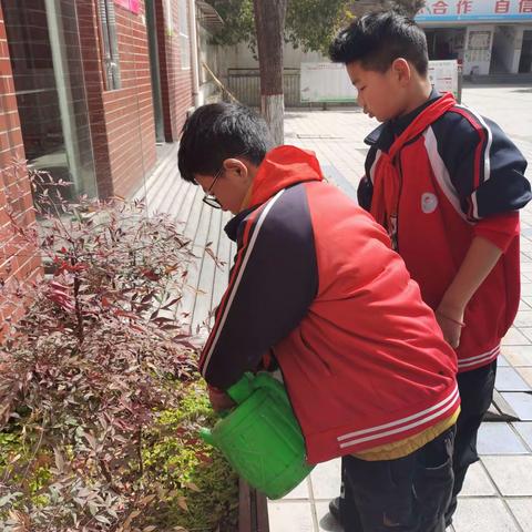 学习雷锋，我们在行动---云阳三小五一班学雷锋活动纪实