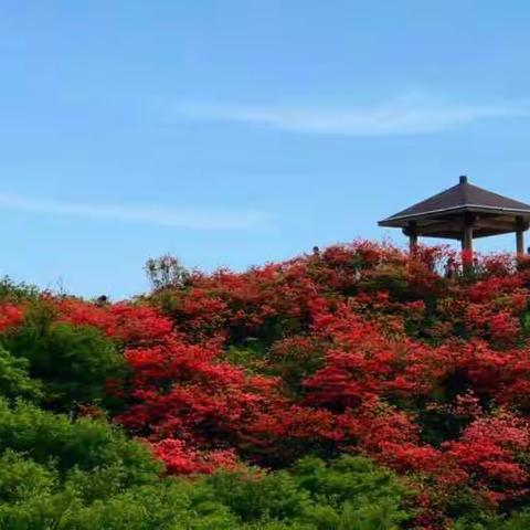 浏阳大围山之行