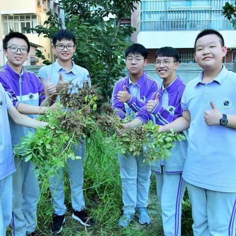 宿迁市钟吾初级中学学生采摘节