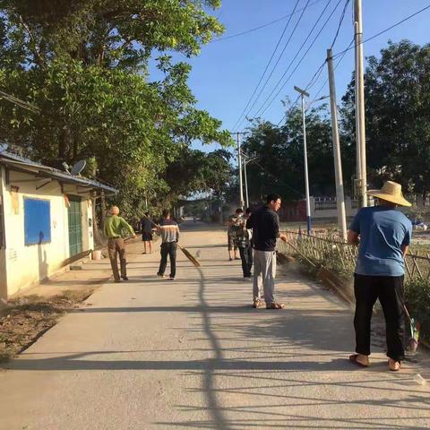 白马井镇山花村委会开展“迎新春”人居环境整治活动