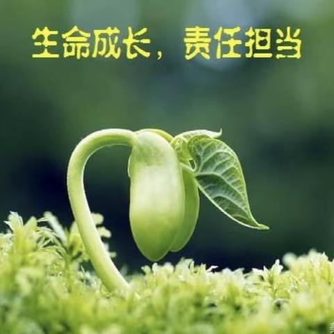 “在知爱建，惠想惠干，教体争先”姜楼镇中心小学“爱在惠民 相伴成长”家校共育专题讲座