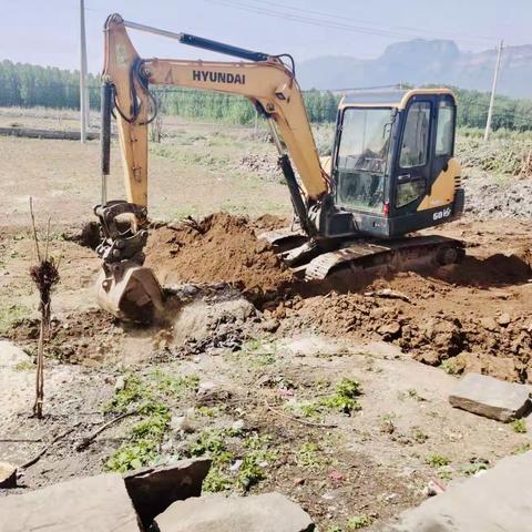 姚村镇治理“六乱”开展“六清”日动态5.26