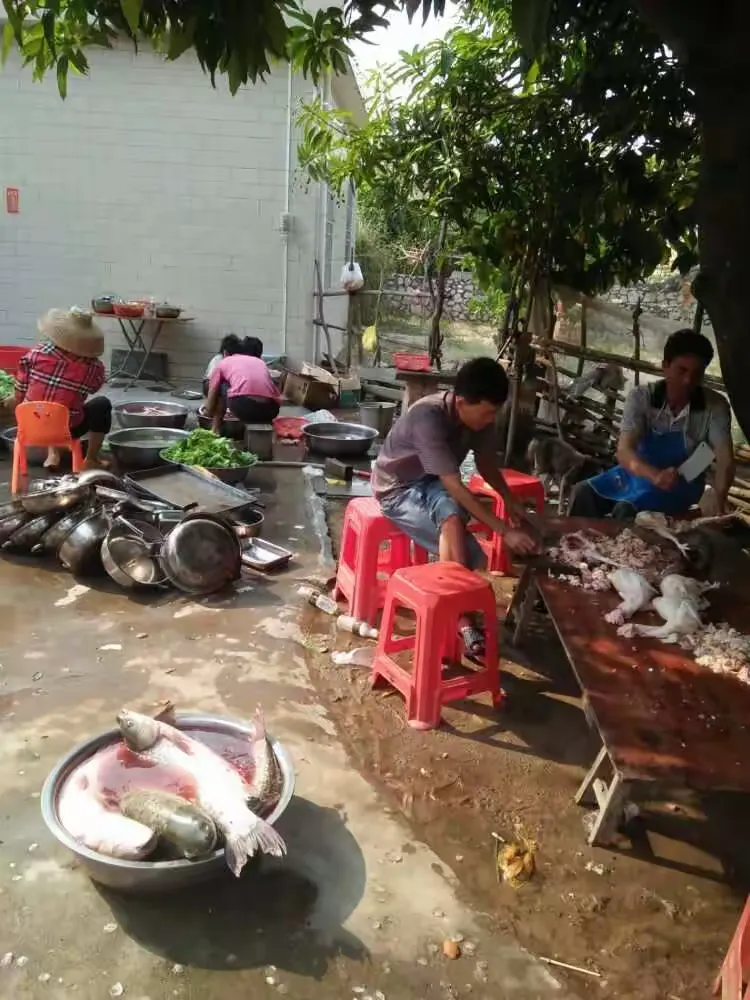 佛罗镇新坡村杨氏宗亲祭祖仪式